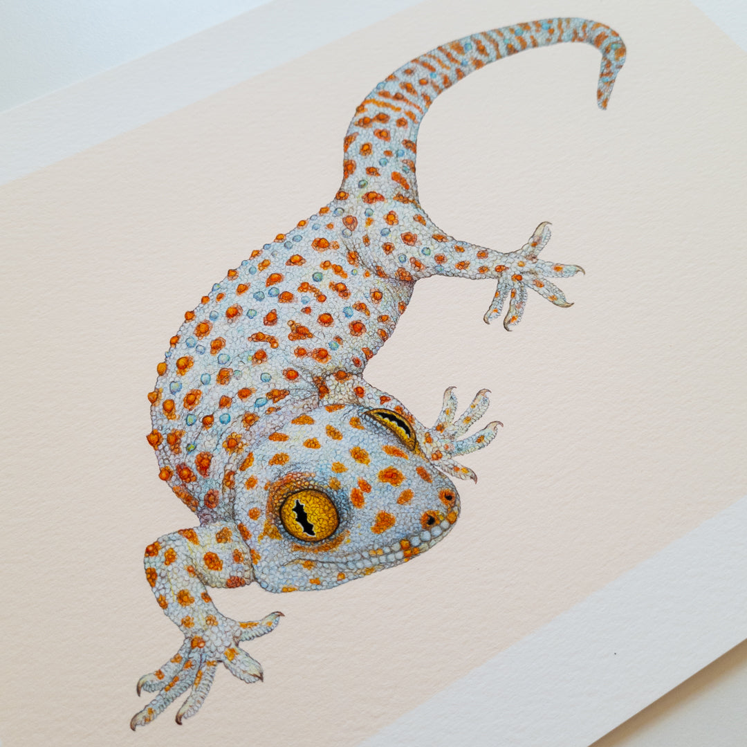 Fine art print TOKEH