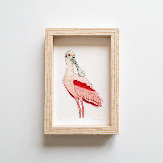 Art mini BILL