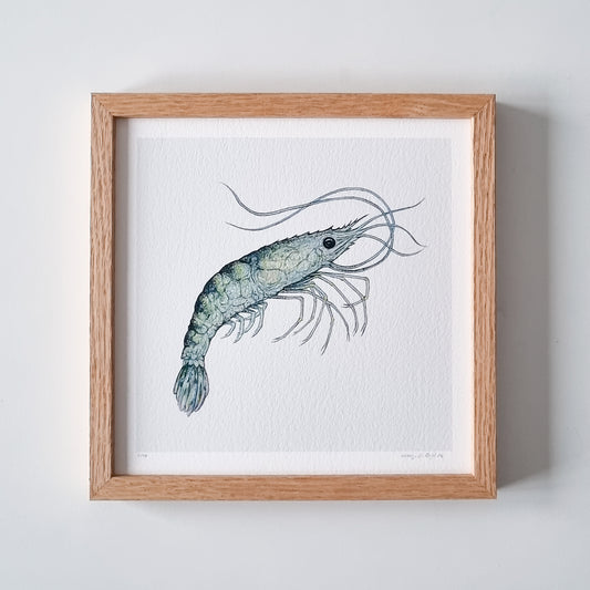 Special: fine art print PRAWN TO BE WILD inclusief lijst