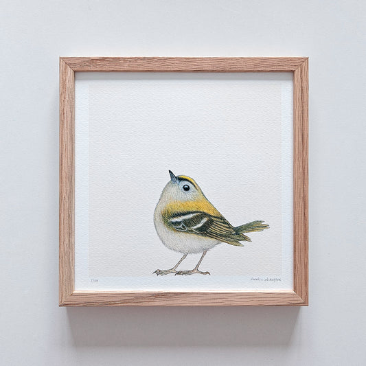 Special: fine art print GERRIT inclusief lijst