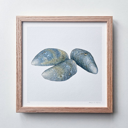 Special: fine art print LOOK AT MY MUSSELS