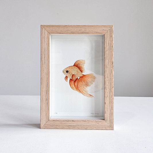 Art mini GOLDFISH no. 1