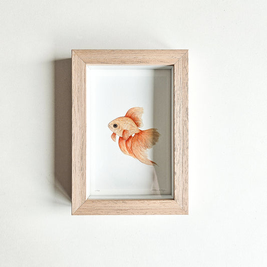Art mini GOLDFISH no. 1