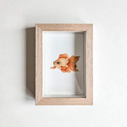Art mini GOLDFISH no. 2