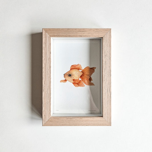 Art mini GOLDFISH no. 2
