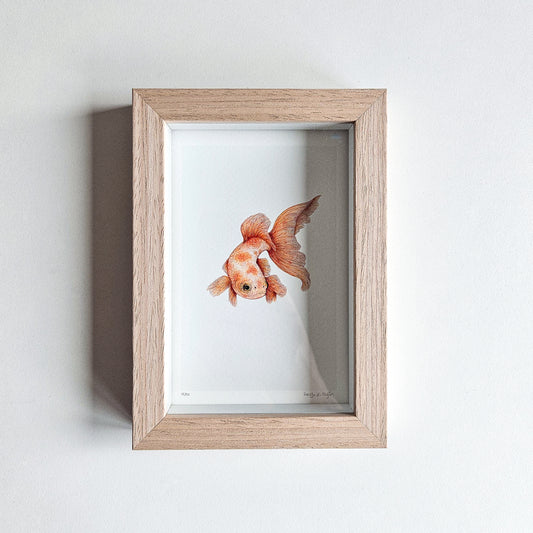Art mini GOLDFISH no. 3