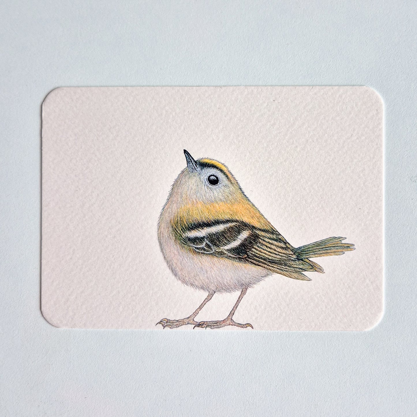 Postcard GERRIT