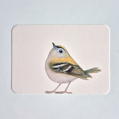 Postcard GERRIT