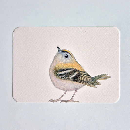 Postcard GERRIT