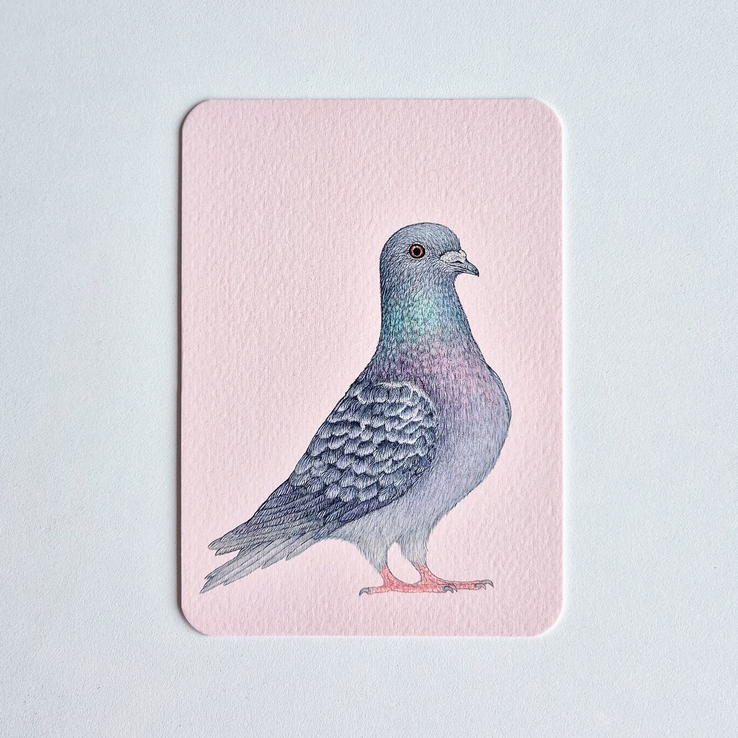 Postcard SJAAK