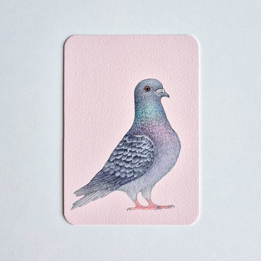 Postcard SJAAK