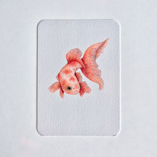 Postcard GOLDFISH no. 3