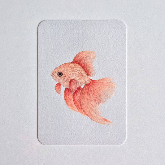 Postcard GOLDFISH no. 1