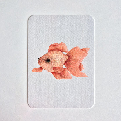 Postcard GOLDFISH no. 2