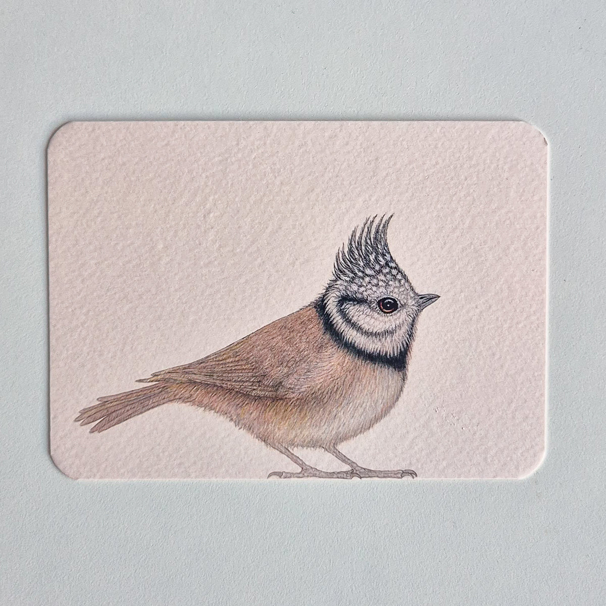 Postcard KEES