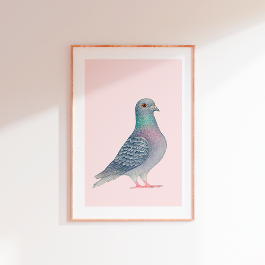 Fine art print SJAAK
