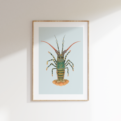Fine art print ROCKY