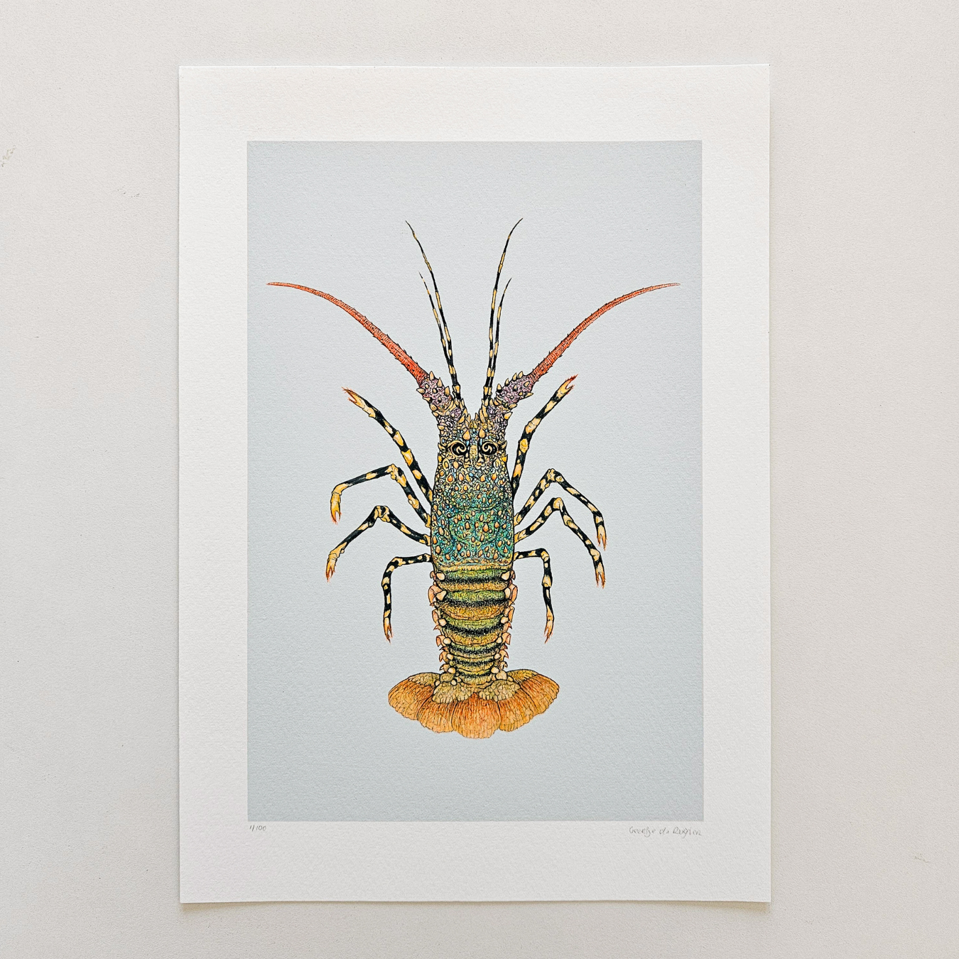 Fine art print ROCKY
