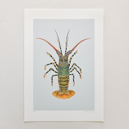 Fine art print ROCKY