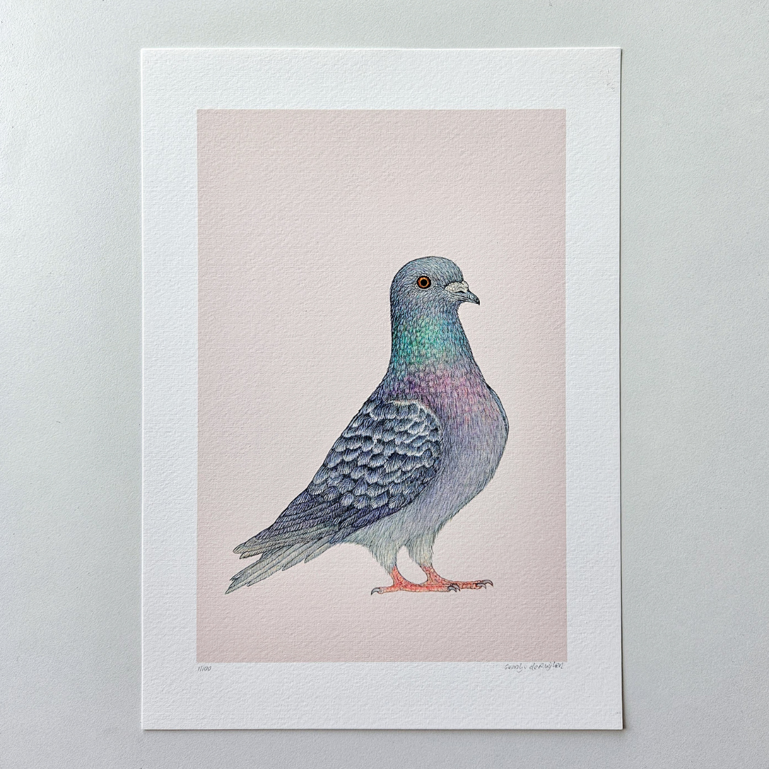 Fine art print SJAAK