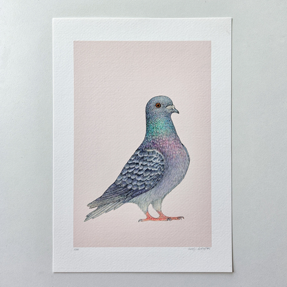 Fine art print SJAAK