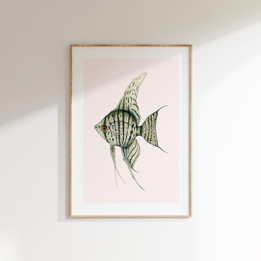 Fine art print JUNO