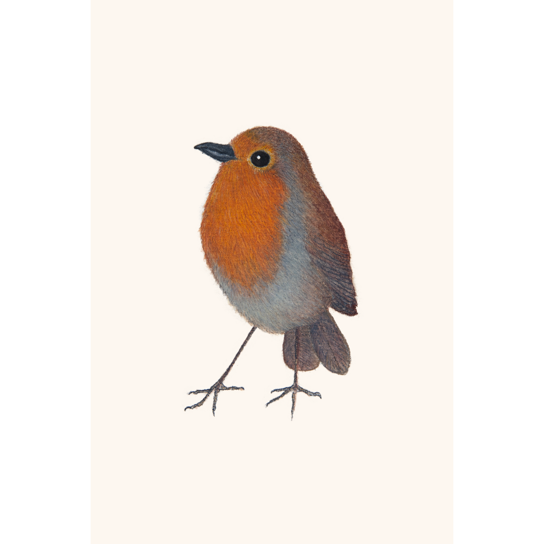 Fine art print ROBIN