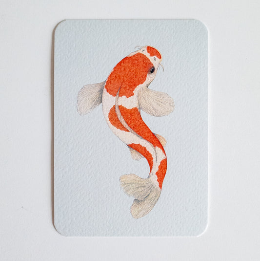 Postcard KOHAKU KOI blauw