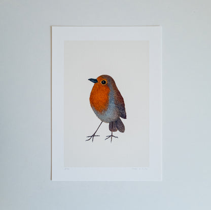 Fine art print ROBIN