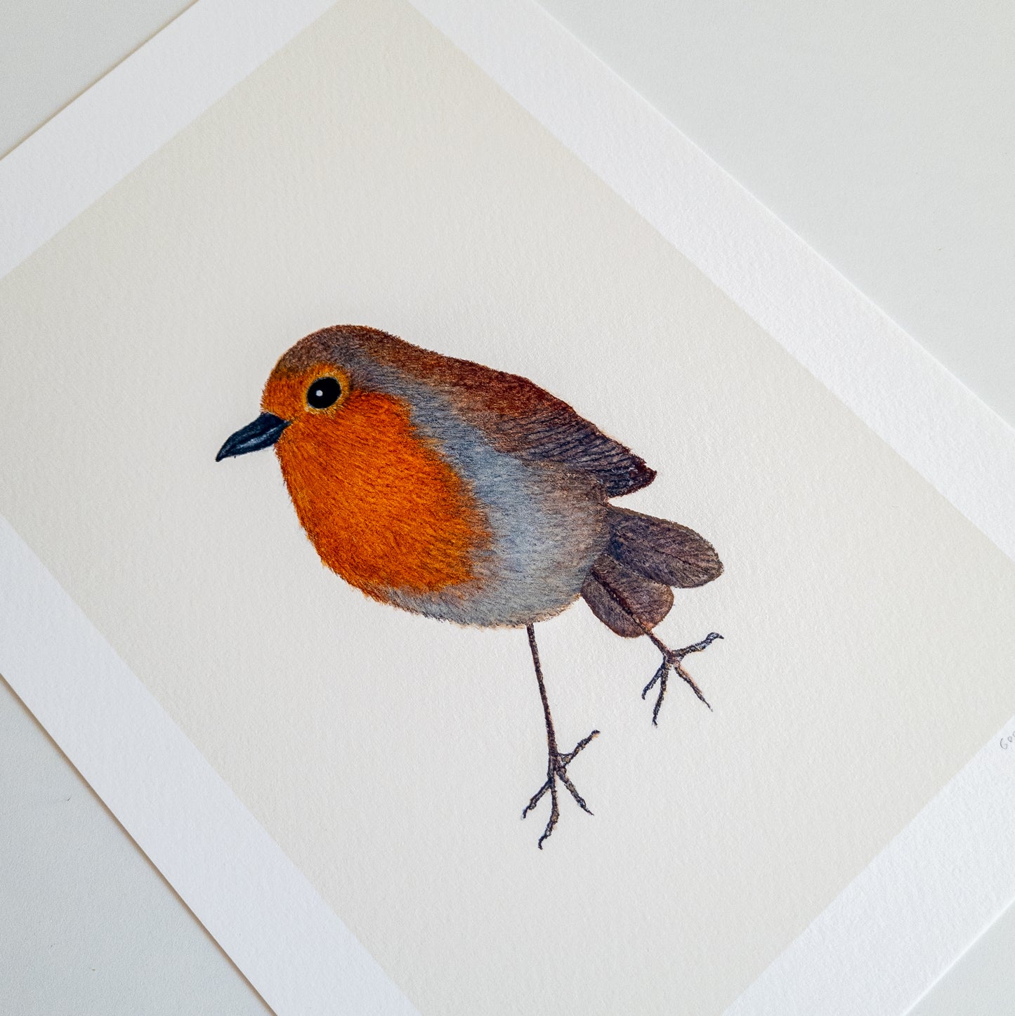 Fine art print ROBIN