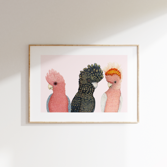 Fine art print A PARROT PARTY