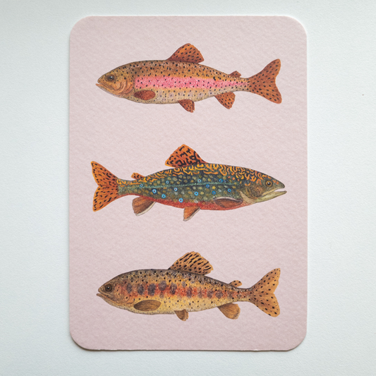 Postcard FISH FRIDAY roze