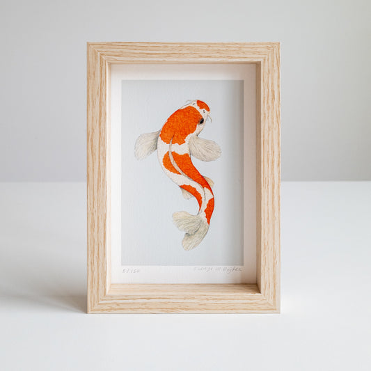 Art mini KOHAKU KOI blue